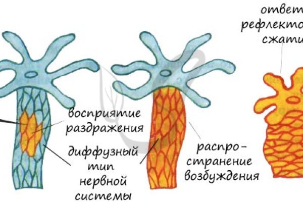 Кракен это что за сайт