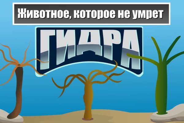Сайт наркотиков купить