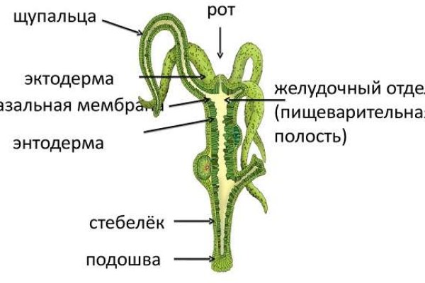 Кракен тор ссылка магазин