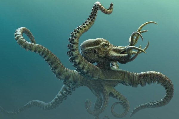 Kraken 23at