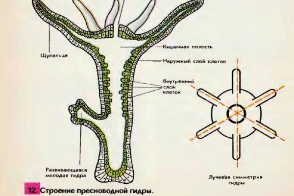 Кракен онион